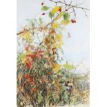 Lesley Fotherby (born 1946), wild hedgerow, watercolour/gouache, signed and dated 1990, 53cm x 36cm,