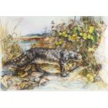 Lesley Fotherby (born 1946), prowling cat, watercolour, 36cm x 53cm, mounted Good condition