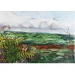Lesley Fotherby (born 1936), owl in landscape, watercolour, 37cm x 52cm, framed Good condition