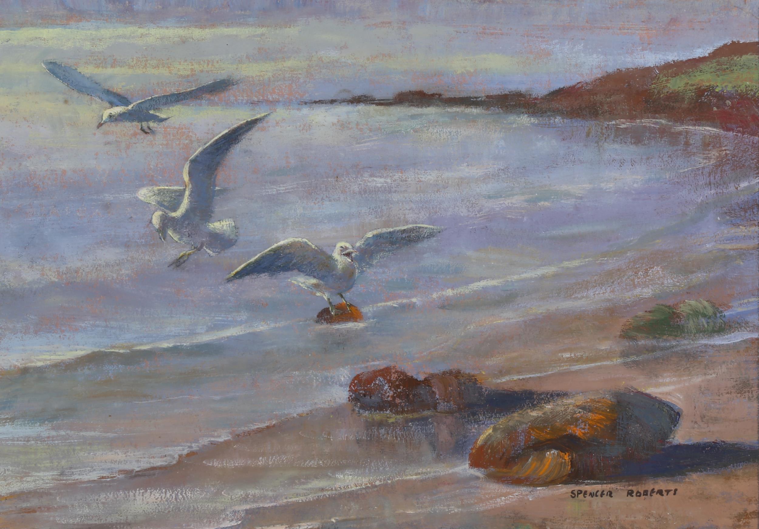 Spencer Roberts (1920 - 1997), gulls at the shore, oil on board, signed, 22cm x 30cm, framed Good