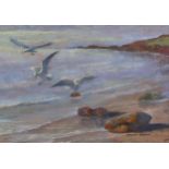 Spencer Roberts (1920 - 1997), gulls at the shore, oil on board, signed, 22cm x 30cm, framed Good