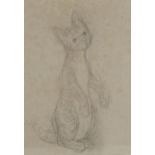 Anne Harriet Fish (1890 - 1964), cat study, pencil on grey paper, 26cm x 19cm, framed Very light