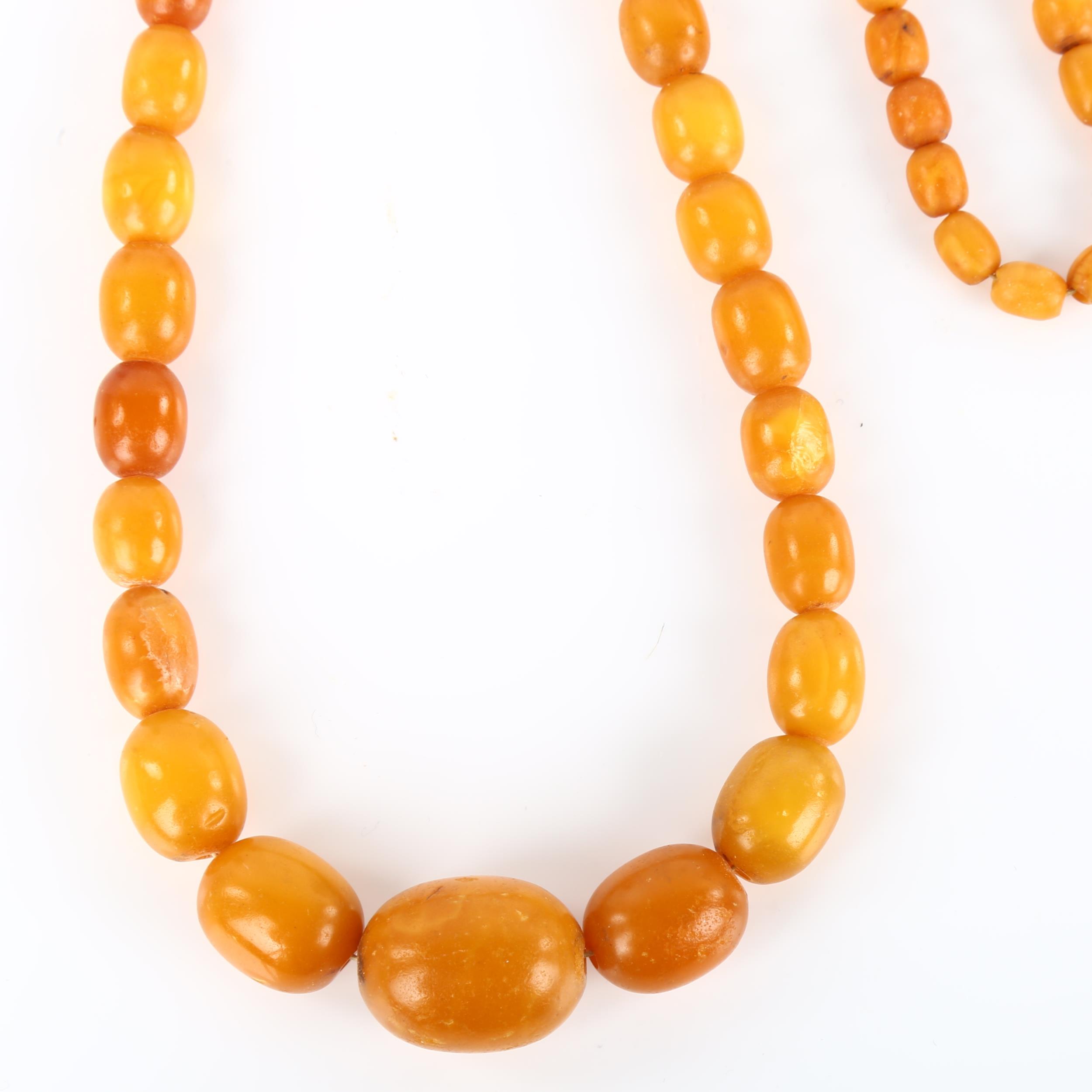 A graduated single-strand butterscotch amber bead necklace, bead lengths 22.1-7.0mm, necklace length - Image 2 of 4