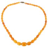 A graduated single-strand butterscotch amber bead necklace, bead lengths 17.1-6.8mm, necklace length