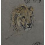 Arthur Wardle (1864 - 1949), lion, pastel/charcoal on paper, signed, 22cm x 21cm, framed