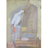 Austin Taylor, parrot and cage, watercolour, 38cm x 27cm, framed