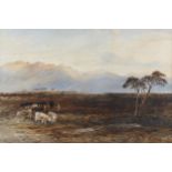 Edward Tucker, cattle in mountain landscape, watercolour, signed, 36cm x 52cm, framed
