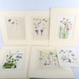 Noel Rooke, 8 detailed botanical studies, watercolour on paper with annotations, mounted (8)