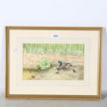 Mike Webb, watercolour, duck and ducklings, signed and dated 1989