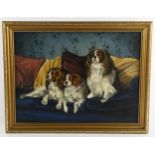 Clive Jackson, 3 King Charles Spaniels, oil on canvas, signed, 30cm x 40cm, framed Good condition