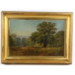 G H Lascells?, Richmond Park Surrey, oil on board, original label verso, 30cm x 45cm, framed Good
