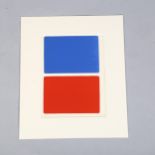 Ellsworth Kelly, an original lithograph published by the Red Phone Gallery 1966, 25cm x 18.5cm,