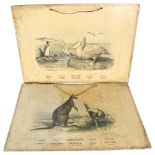 2 late 19th century school room prints by Callewaert Freres, Brussels, of a pelican and a