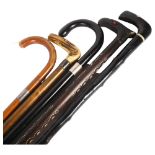 A group of 5 walking sticks, including 3 with silver collars