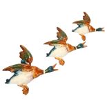 Graduated set of 2 Beswick flying duck wall ornaments, pattern no. 596, largest length 25cm 1 wing