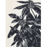 John Nash (1893-1977) wood engraving on paper, The Spurge Laurel, 15.5vm x 11cm, for Poisonous