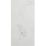 Archibald Thorburn (1860 - 1935), studies of Great White Egret, pencil with annotations, sheet