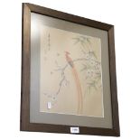 A Chinese coloured print, bird and flower study, 50cm x 45cm overall, framed