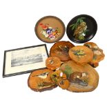 A pair of plates and wooden plaques with paintings of garden birds, various artists, and a print