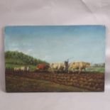 Large oil on canvas, view of cows ploughing the land, 92cm x 61cm