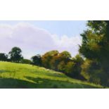 Richard Thorn, summer pasture, watercolour, signed, 16cm x 25cm, framed Perfect condition