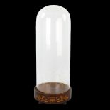 A Victorian glass dome on original rosewood and marquetry inlaid stand, overall height 54cm Glass is