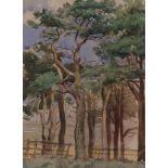 Archibald Thorburn (1860 - 1935), Scots Pines, watercolour, signed with artist's stamp, 34cm x 25cm,