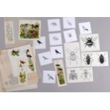 Brian Hargreaves (1935 - 2011), quantity of watercolour studies for butterfly and insect pests