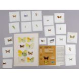 Brian Hargreaves (1935 - 2011), collection of miniature highly detailed butterfly drawings and