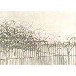 Victor Pasmore (1908 - 1998), metamorphosis 2 - the gardens of Hammersmith, etching with aquatint,