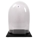 A modern glass dome, on fitted wooden display stand, height including display stand 43cm, length