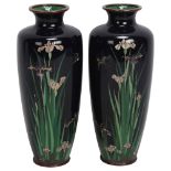 Pair of fine quality Japanese Meiji Period cloisonne enamel vases, decorated with irises and