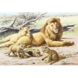 David Parry (born 1942), study of lions and cubs, watercolour, 1971, 52cm x 74cm, framed Good