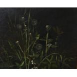 Peter Newcombe, wild flowers, oil on canvas, signed and dated 1975, 26cm x 30cm, framed Very good