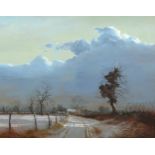 Peter Newcombe, a country lane, oil on canvas, signed and dated 1974, 40cm x 50cm, framed Very