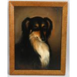 19th century English School, portrait of a sheep dog, indistinctly signed, dated 1879, 40cm x