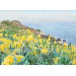 John Harvey, cliff-top daffodils Cornwall, oil on canvas, signed, 41cm x 56cm, framed Good condition