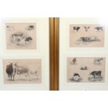 Thomas Sidney Cooper, a set of 4 hand coloured engravings, studies of cattle, mounted in 2 frames,