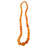 A single-strand graduated butterscotch amber bead necklace, bead lengths ranging from 25.8 - 11.5mm,