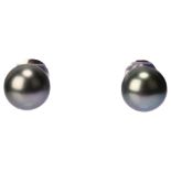A pair of 18ct white gold whole black Tahitian pearl earrings, with stud fittings, pearl diameter