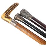 A group of walking canes, to include an ebony and silver-topped cane, a Malacca cane with horn-