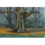 John Mcgaw (1872 - 1952), big tree, watercolour, circa 1930, signed, 27cm x 38cm, framed Good