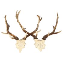 TAXIDERMY - 2 similar stag antlers (unmounted), H57cm approx