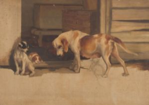 Late 19th/early 20th century oil on canvas, sketch, group study of dogs and puppies, unsigned,
