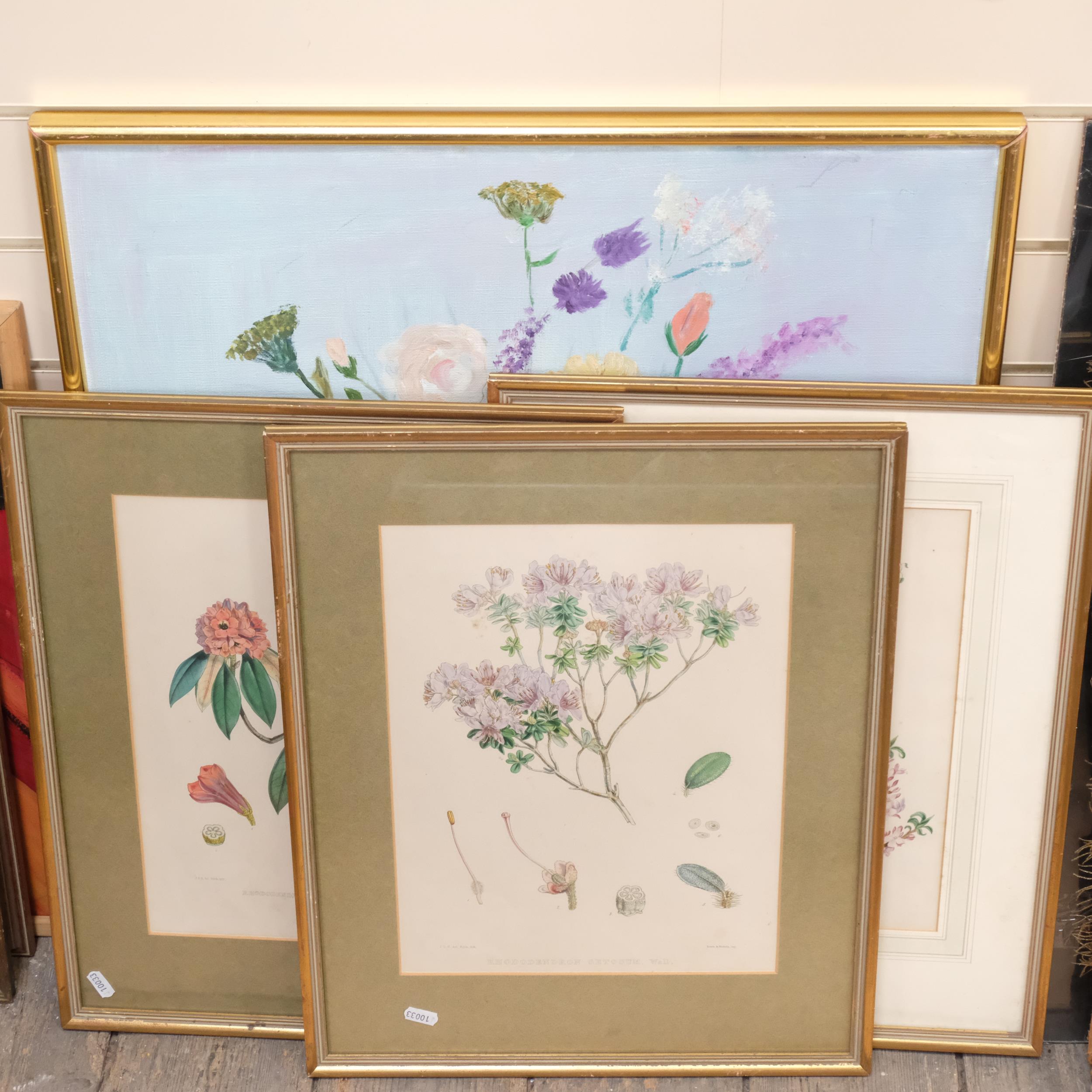 A set of 3 framed botanical prints, signed small framed study of daisies, 31cm x 20.5cm, and 2 other - Bild 2 aus 2