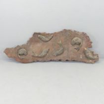 A vintage Japanese carved elm wall plaque, with applied fish decoration. 150x56cm. Some damage.