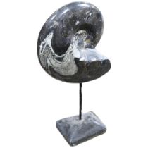 A prehistoric fossilised goniatite on metal stand, height 50cm