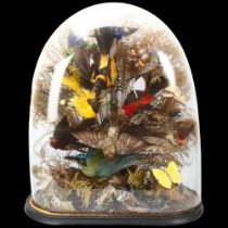 TAXIDERMY - a naturalistic display of exotic birds butterflies and beetles under glass dome,