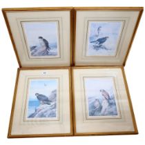 A group of 4 limited edition coloured prints, bird studies, framed, originally by Archibald