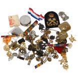 A large collection of various military and other buttons, badges, ribbons etc